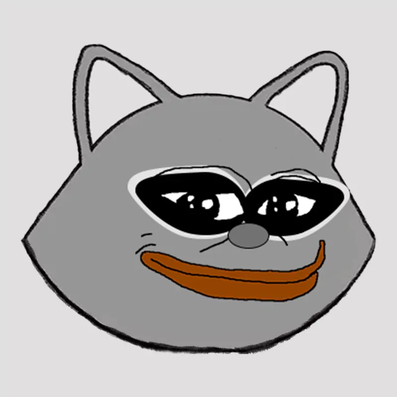 BitRacoon Logo