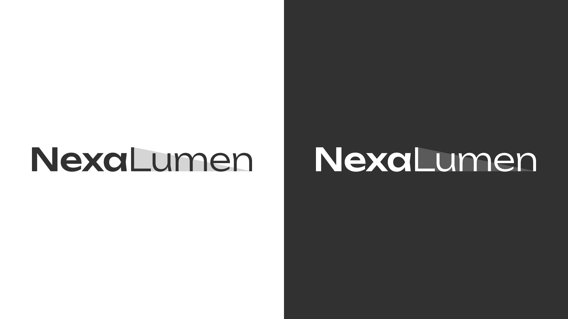 nexalumen brand guide (5)