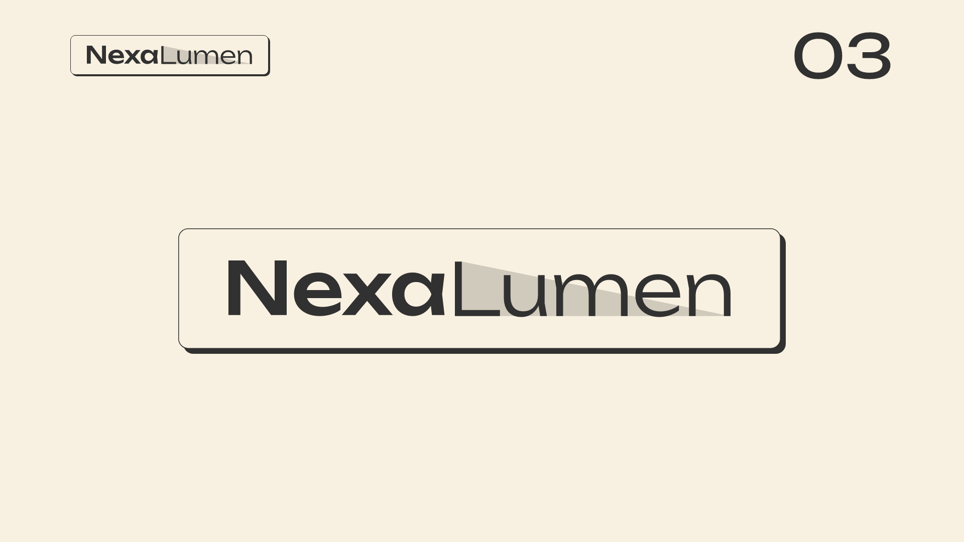 nexalumen brand guide (9)